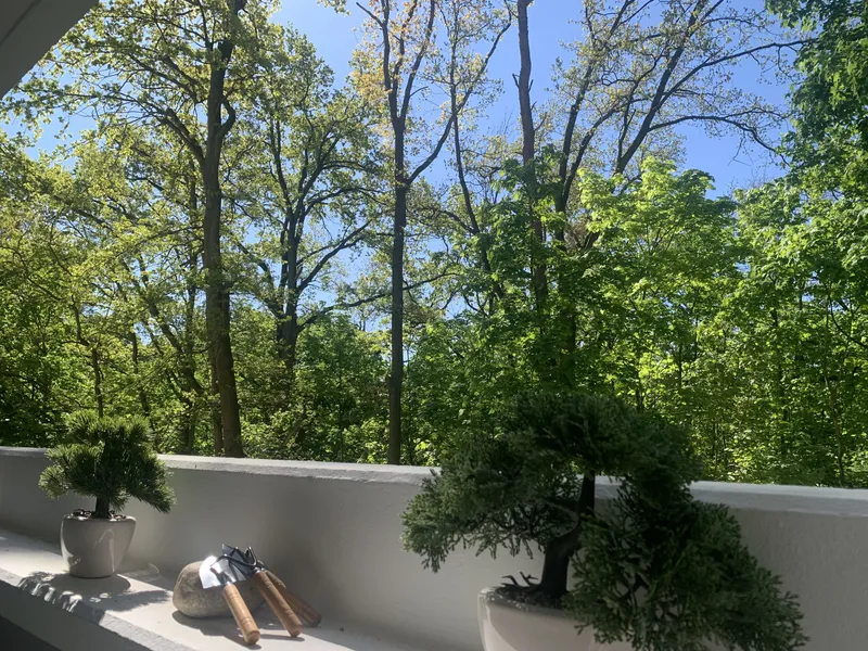 Voll möbliertes Boutique Apartment in Westend — photo 1